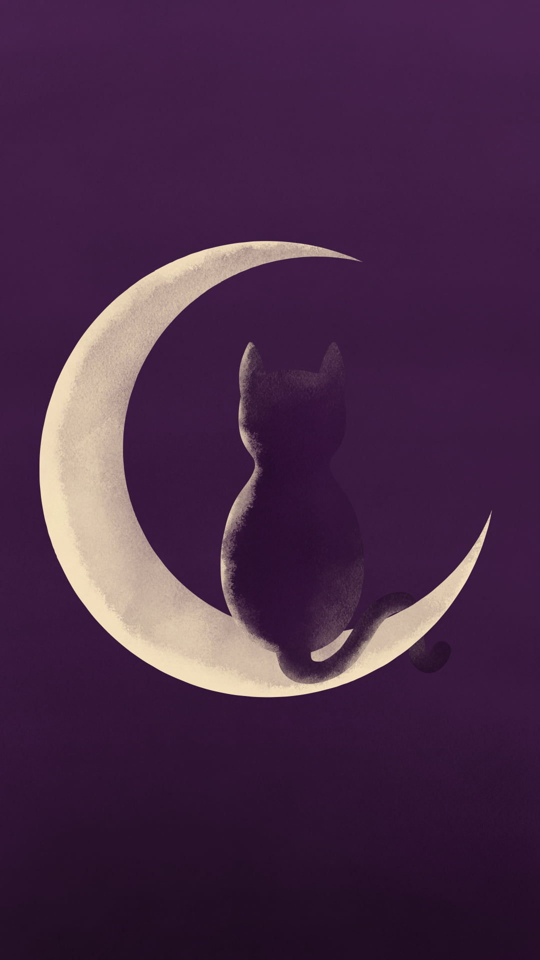 cat sitting on a moon